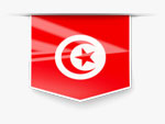 ECU Remapping in Tunisia