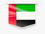 ECU Remapping in United Arab Emirates