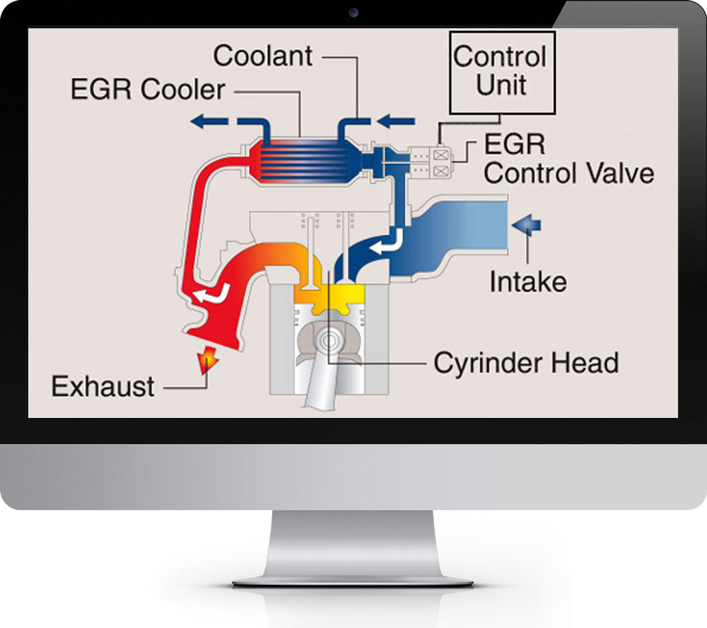 what is egr